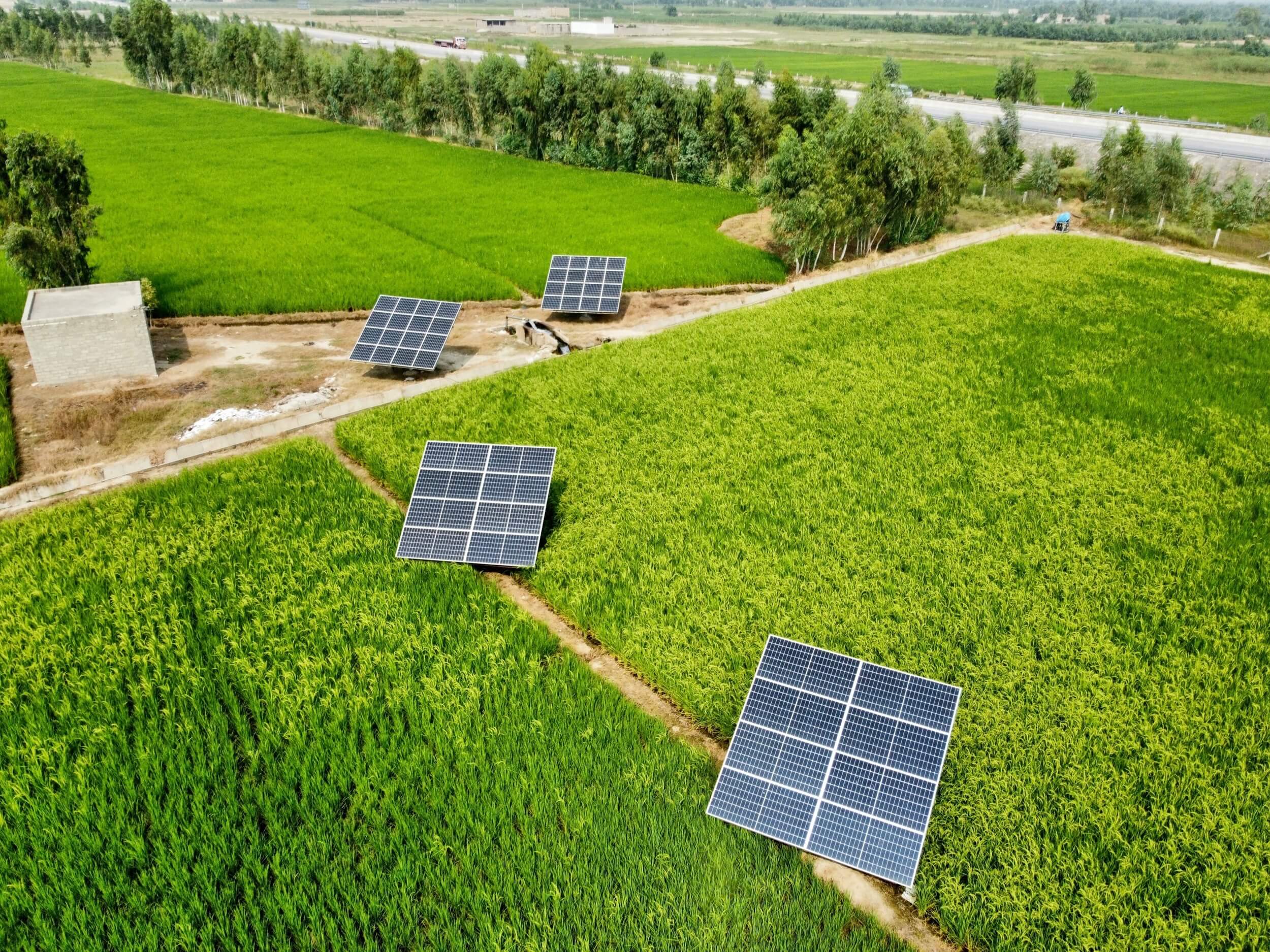 agri pv solarfox solar panele verteilt auf feld