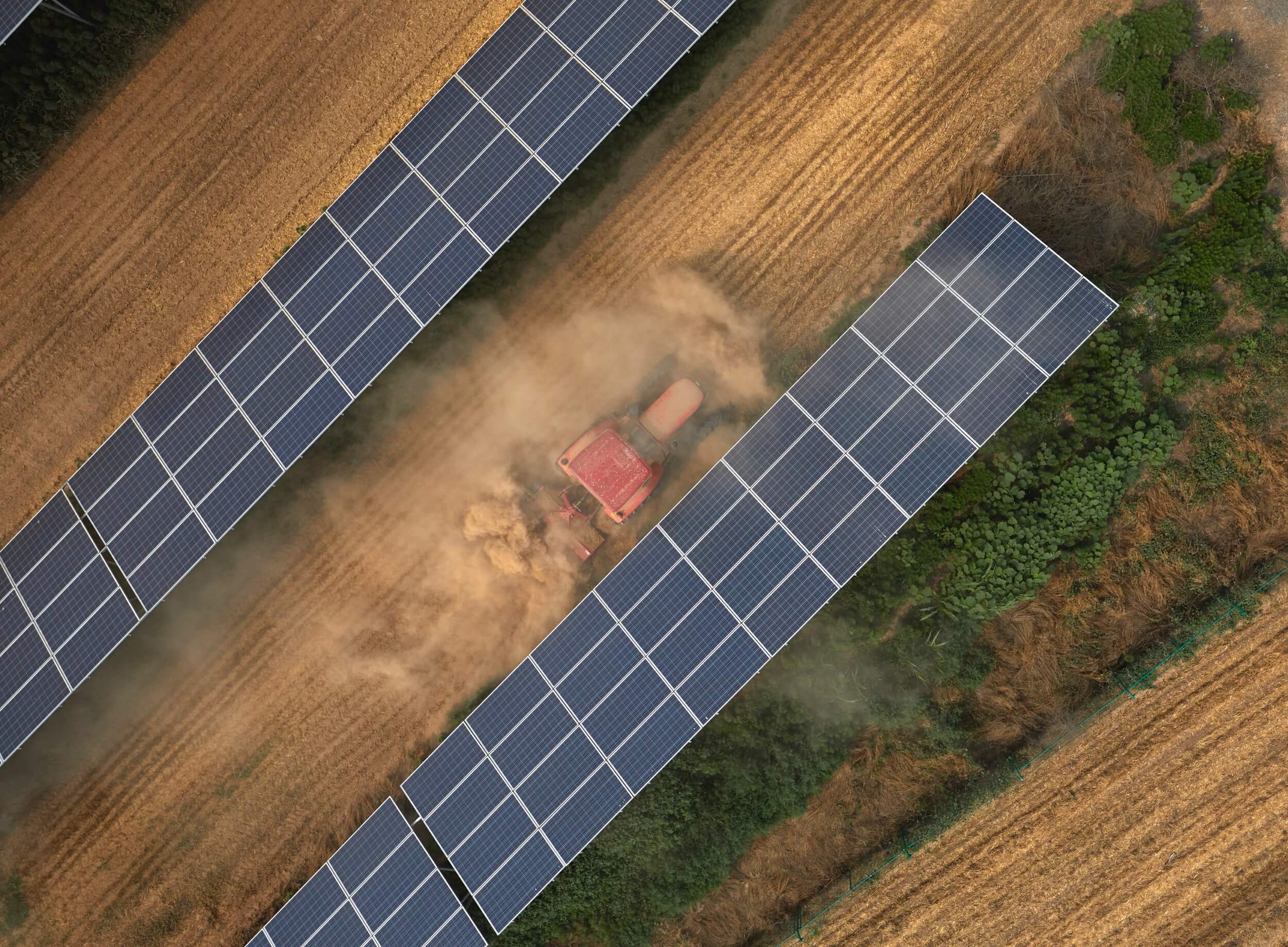 solafox agripholtaik traktor zwischen pv anlagen